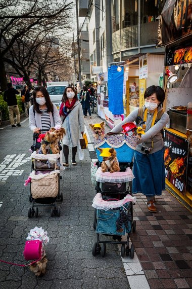 09 Tokyo, meguro rivier.jpg